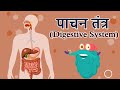 पाचन तंत्र का अध्ययन