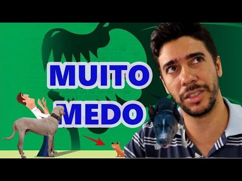 O MEDO E A CORAGEM DE CACHORRO - FRANCISCO CÃES BRASIL