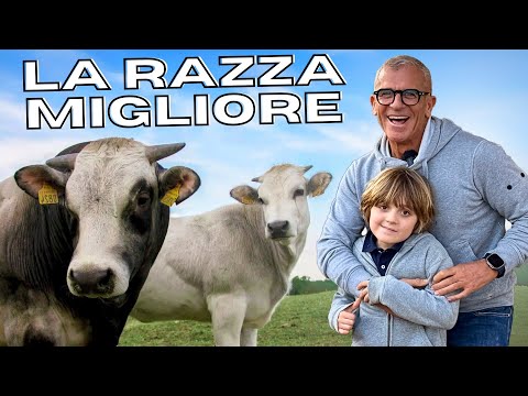 LA CARNE PIÙ BUONA È ITALIANA 🇮🇹 🇮🇹 Chef Max Mariola e Mariuccio