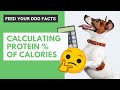 Understanding Dog Nutrition and Calories