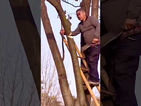 Big fails compilation😂🤣#funnyfails #shortsfails #funny #failsvideo