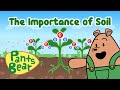 Soil Characteristics and Functions