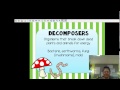 Ecosystem Roles and Energy Flow
