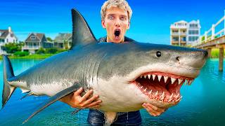 Massive SHARK INFESTATION At My Beach House!