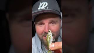 КОЙ Е ИСТИНСКИЯТ? Само на twitchfishing.com