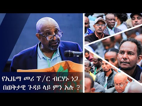 Ethiopia: የኢዜማ መሪ ፕ/ር ብርሃኑ ነጋ በወቅታዊ ጉዳይ ላይ ምን አሉ ? | Ezema | Birhanu Nega