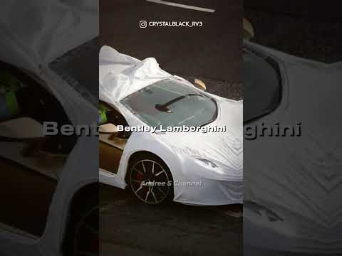 Ribuan Mobil Mewah Di Dasar Laut ! Felicity Ace #shorts