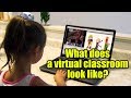 Virtual Education Insights and Challenges