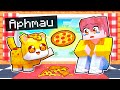Pizza Party Adventures and Challenges