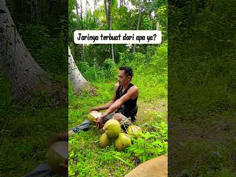 PUKULAN TERKUAT DI BUMI