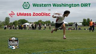 DiRT vs UMass