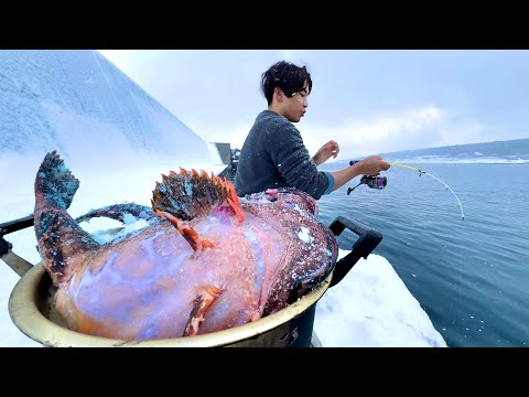 この怪物が堤防で釣れる時期がきた！！