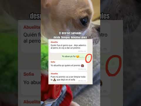 Eso no esperaba Sofi #memes #videoviral #humor #shorts #andrast #babifreitas #chotaalivlogs
