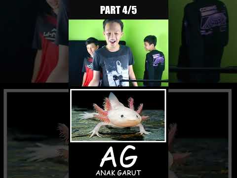 Tebak Nama Hewan Amfibi dan Reptil (Part 4/5)
