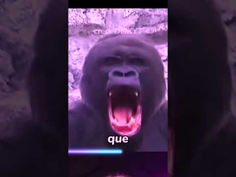 como os animais BOCEJAM é bizarro! #vtuber #memes