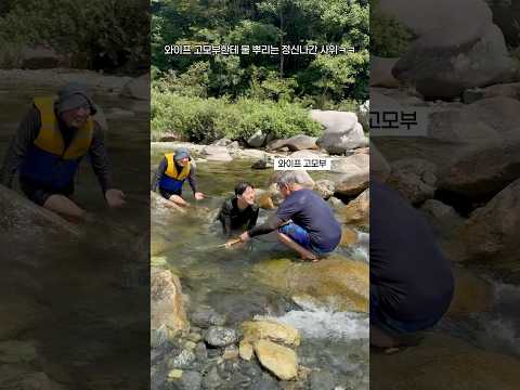 난 태어나서 이런 사위를 본 적이 없다.가족 모임에서 이런 장난 치는 놈은 우리 남편이 처음 ㅋㅋㅋㅋヨコ