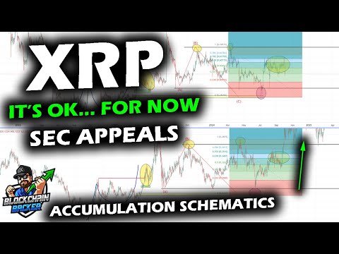 XRP PRICE CHART as SEC Files Appeal Against Ripple, Price Sits within Support Range, Looking Ahead