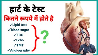 Cost of heart test l ECG I ECHO I TMT I ANGIOGRAPHY