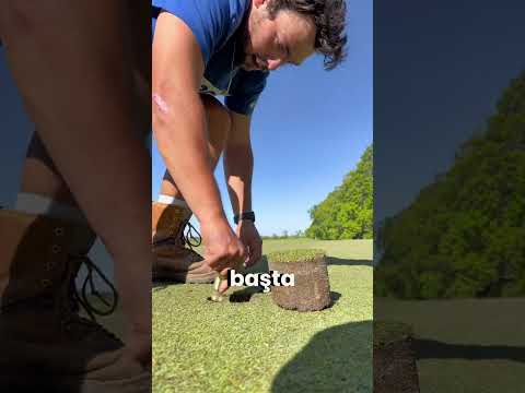 Golf Deliği Nasıl Açılır ve Kapatılır? Cevabı Şaşırtacak! 🏌️♂️⛳