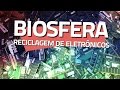 Electronic Waste Management Challenges
