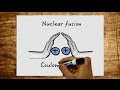 Understanding Nuclear Fission and Fusion