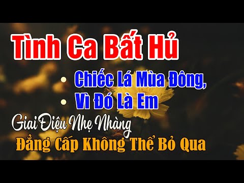 Tình Khúc Hay Nhất Mọi Thời Đại - Tình Khúc Hải Ngoại Bất Hủ – Những Giai Điệu Bất Tử