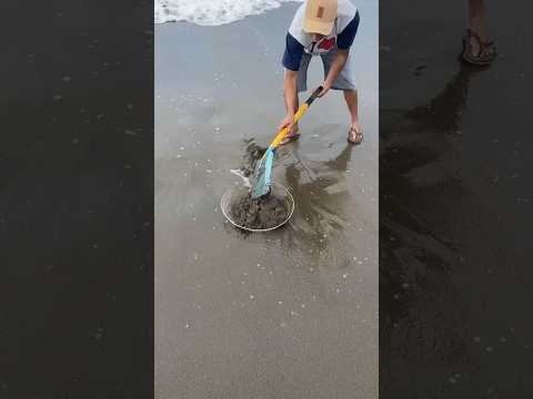 Part 2 nyari yutuk pakai sekop seru juga wehh #yutuk #ikan #bolang