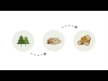 Forest Industry Knowledge Assessment