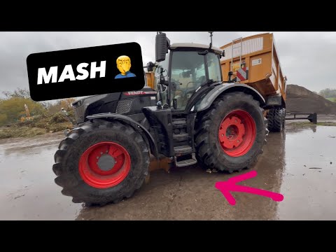 FENDT BACK WITH HUGE LOAD OF POTATOES #AnswerAsAPercent 2037