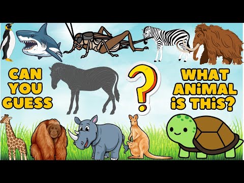 KIDS SONG: Yes Yes the Animal Song | Fun and Educational Kids Animal Song | Guess The Animals part2