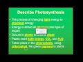 Photosynthesis and Cellular Respiration Concepts