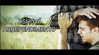 O CRIADOR SE ARREPENDE? O SIGNIFICADO DE ARREPENDIMENTO NO HEBRAICO ANTIGO - TESHUVÁ (שׁוּב)