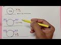 Forces and Motion Concepts
