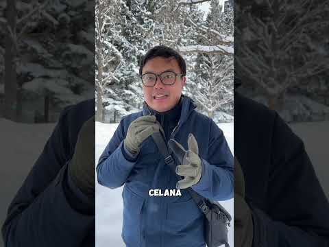 Tips liburan saat musim dingin / winter! ☃️