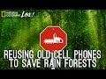 Detecting Illegal Logging in Borneo