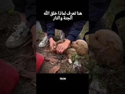 انتظر؟!!!