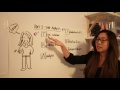 Decoding the TEA-IDEA Structure for Text Analysis