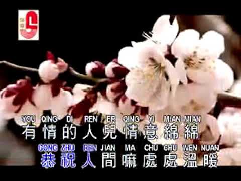 李茂山 新年帶來新希望 伴奏