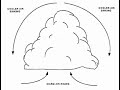 Cloud Droplet Formation and Growth
