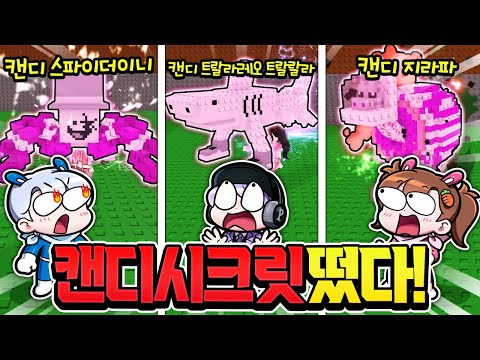 캔디 시크릿 100%로 다 뽑아봤습니다 ㅋㅋ 이게 나온다고??