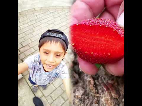 #fyp #tiktok #funny #😂 #❤ #foryou #viral #foryoupage #xybca #pov