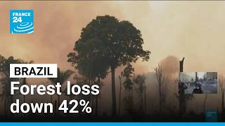 YouTube video thumbnail:  Brazil: Amazon Deforestation at 40-Year Low
