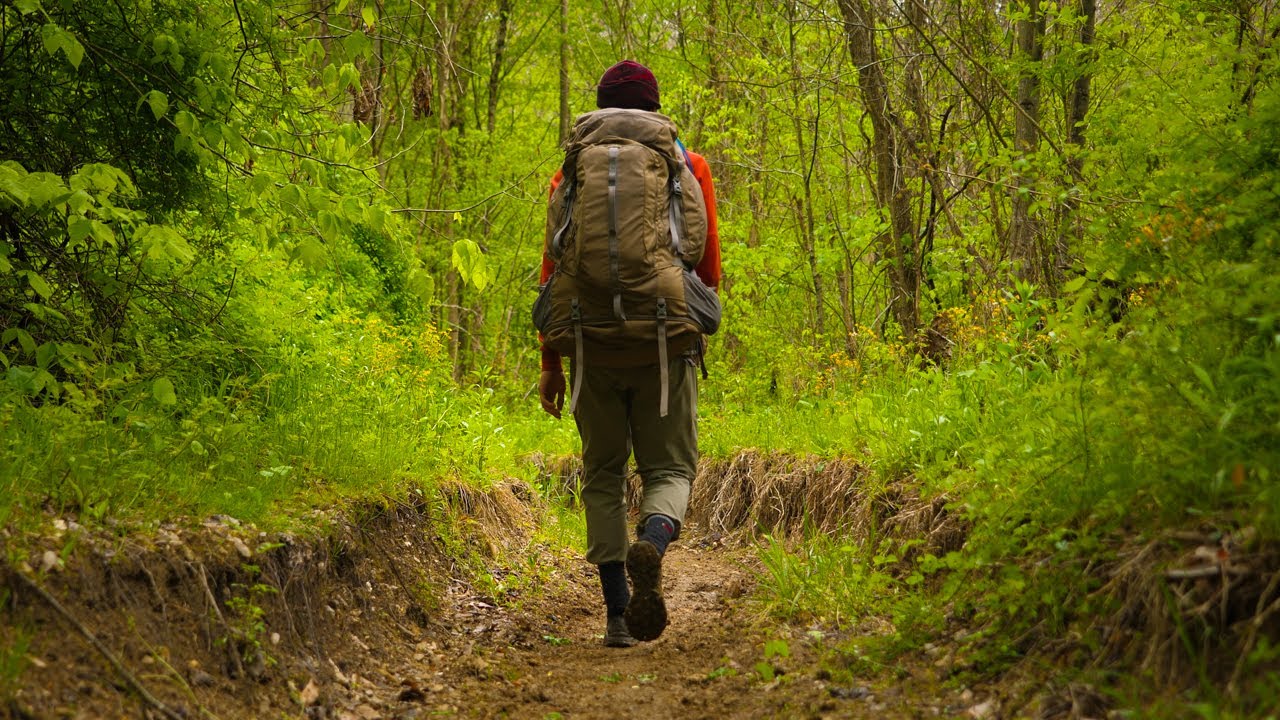 A Night Alone in the Woods - AdventureArchives