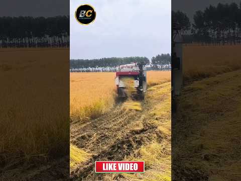 mini dhan katne wala machine #shorts #harvester #viralshorts
