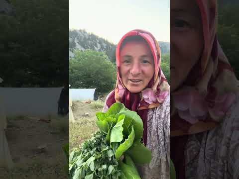 Bahçeden geliveririz #doğalyaşam #köyhayatı