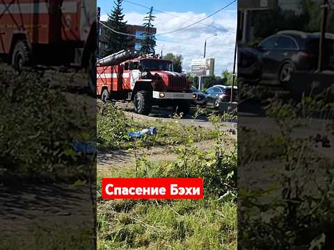 #automobile #дальнобой #бмв #bmw Самовозгорание. Но слава Богу,спасли...частично