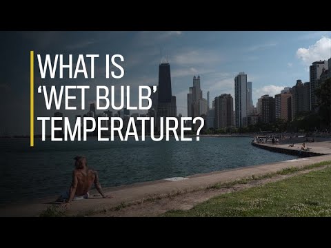 What is 'wet bulb' temperature?