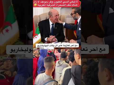 الفرحة تملأ الأفق: الصحراء تحت راية المغرب صوت الحق: قرار مجلس الأمن يعزز السيادة المغربية