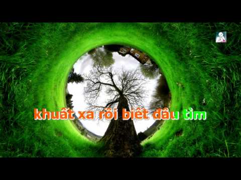 Karaoke_Chuyến Tàu Hoàng Hôn [Beat chuẩn] Lệ Quyên