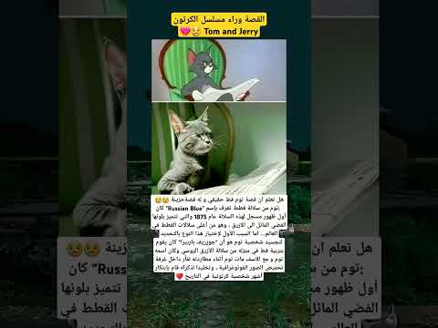 قصة مسلسل الكرتون توم و جيري كانت قصة حقيقية وواقعية لقط بنفس الصفات